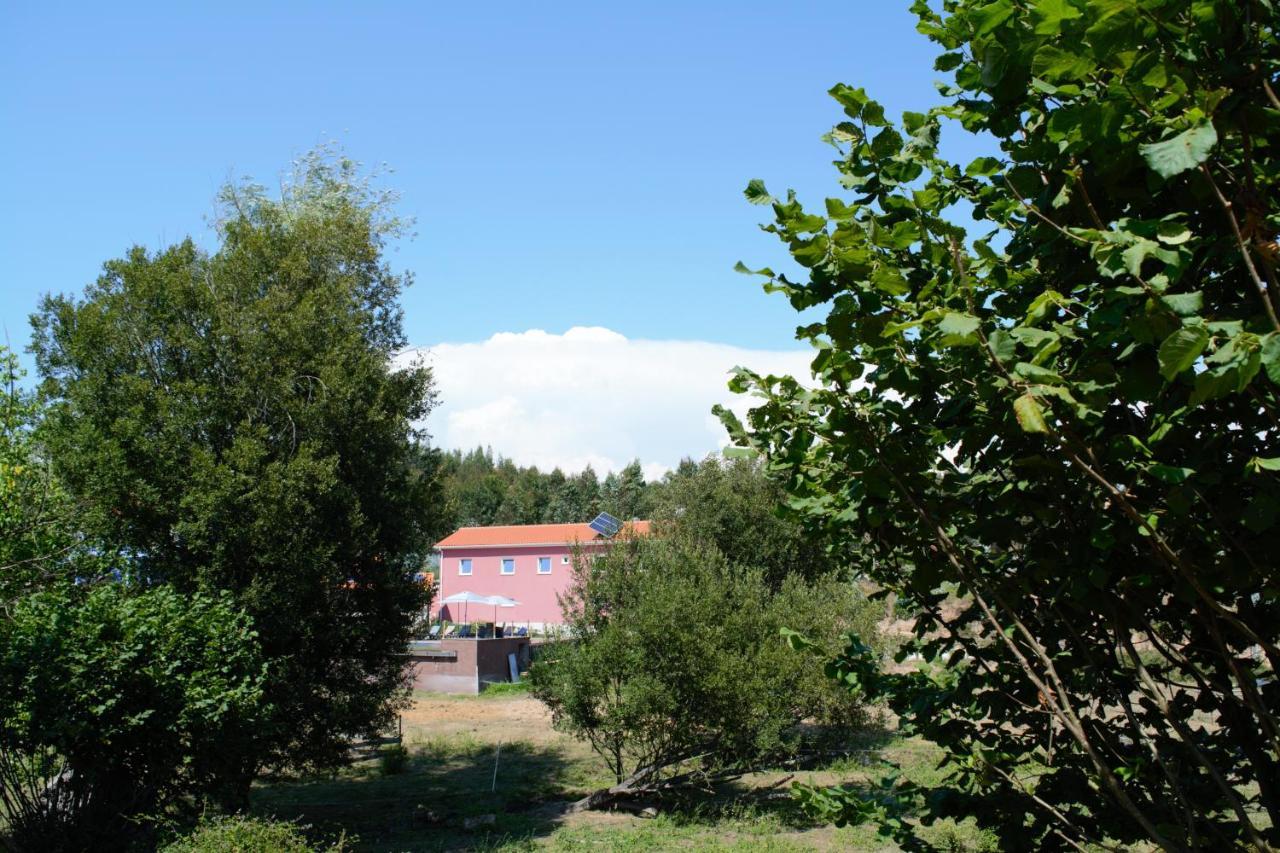 Quinta Castanheira Apartman Santa Comba Dao Kültér fotó