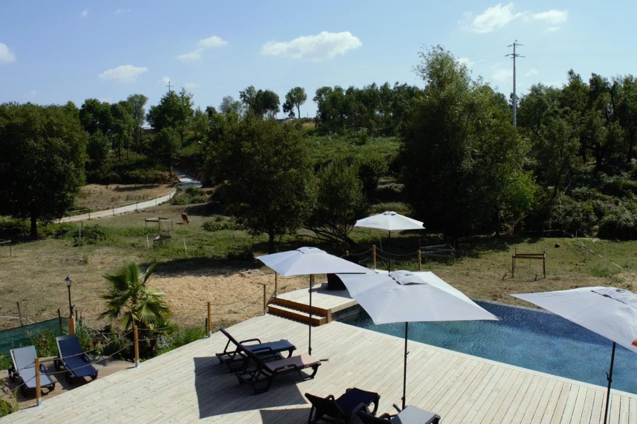 Quinta Castanheira Apartman Santa Comba Dao Kültér fotó